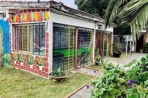 imgi_17_Patio-1-sindrome-de-down-autismoTaroba-dicapacidad